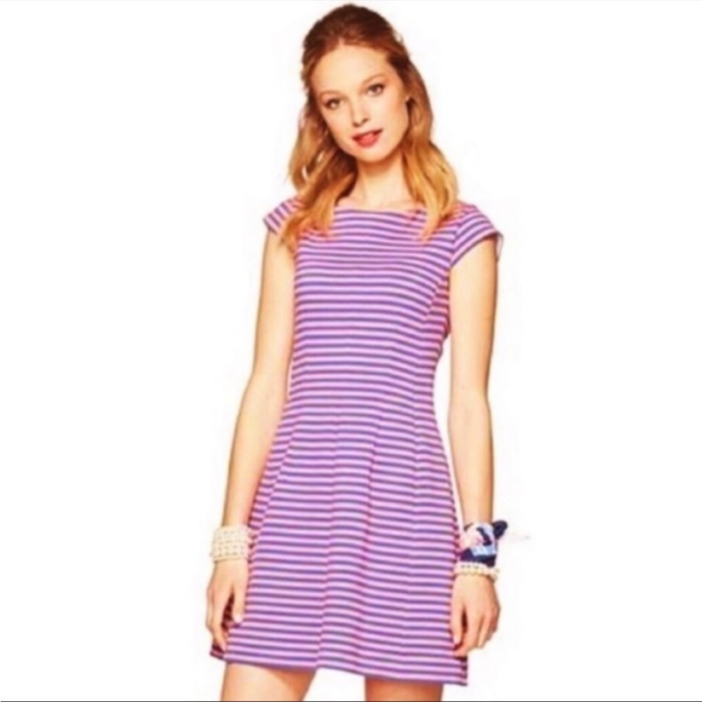 Lilly Pulitzer Briella Mini Dress in Ottoman Stripe SZ S